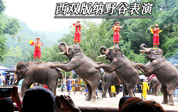 从北海到云南旅游要多少钱