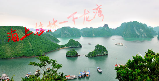 重庆,到,越南,旅游,要,多少钱,